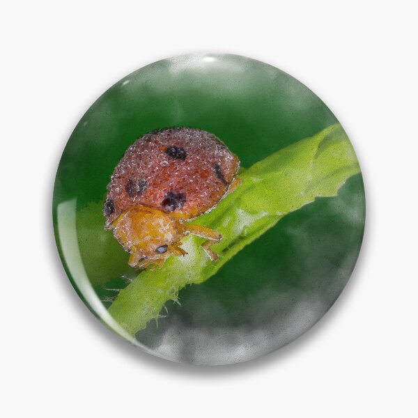 Item preview, Watercolour of a dew covered lady bug! (Epilachna indica) crawling along the petiole  designed and sold by AvonPerception.
