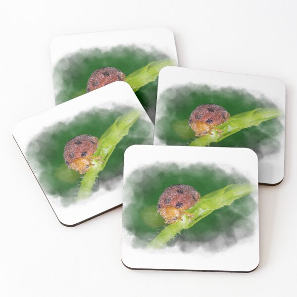 Item preview, Watercolour of a dew covered lady bug! (Epilachna indica) crawling along the petiole  designed and sold by AvonPerception.