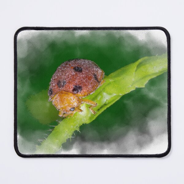 Item preview, Watercolour of a dew covered lady bug! (Epilachna indica) crawling along the petiole  designed and sold by AvonPerception.