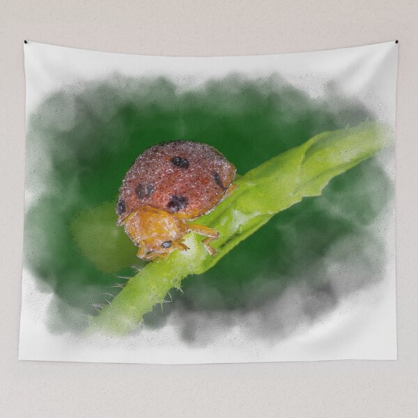 Item preview, Watercolour of a dew covered lady bug! (Epilachna indica) crawling along the petiole  designed and sold by AvonPerception.