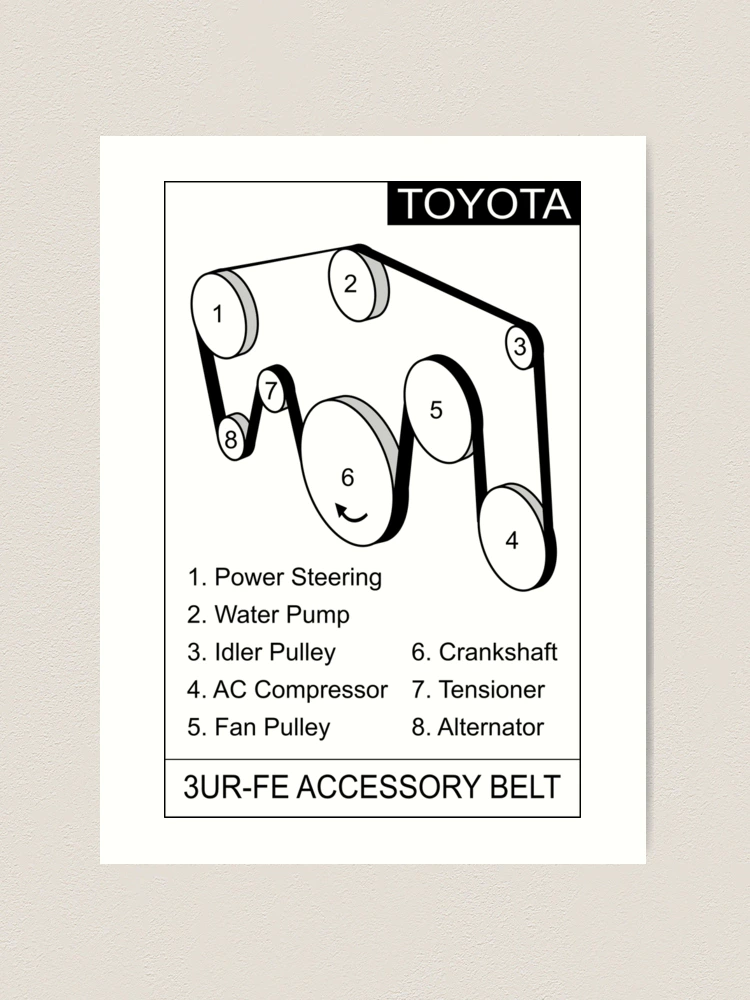 Toyota Land Cruiser serpentine belt diagram, white background
