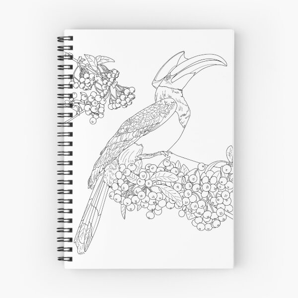 Item preview, Great Indian Hornbill and Firethorn designed and sold by YuNikDraw.