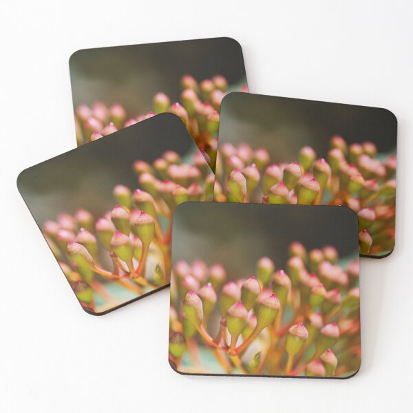 Item preview, Eucalyptus Flower Bud In Clusters  designed and sold by Joy Watson - Natural Light Photography .