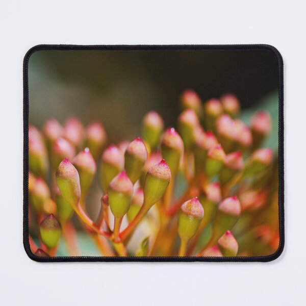 Item preview, Eucalyptus Flower Bud In Clusters  designed and sold by Joy Watson - Natural Light Photography .