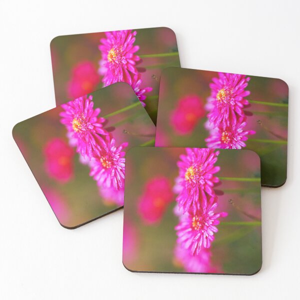 Item preview, Two Hot And Pink Daisies designed and sold by Joy Watson - Natural Light Photography .