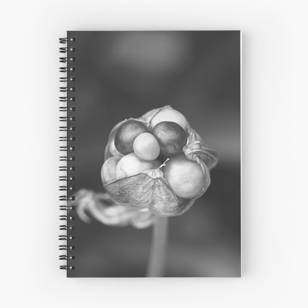 Item preview, Lily Seed Pod Jewels BW designed and sold by Joy Watson - Natural Light Photography .