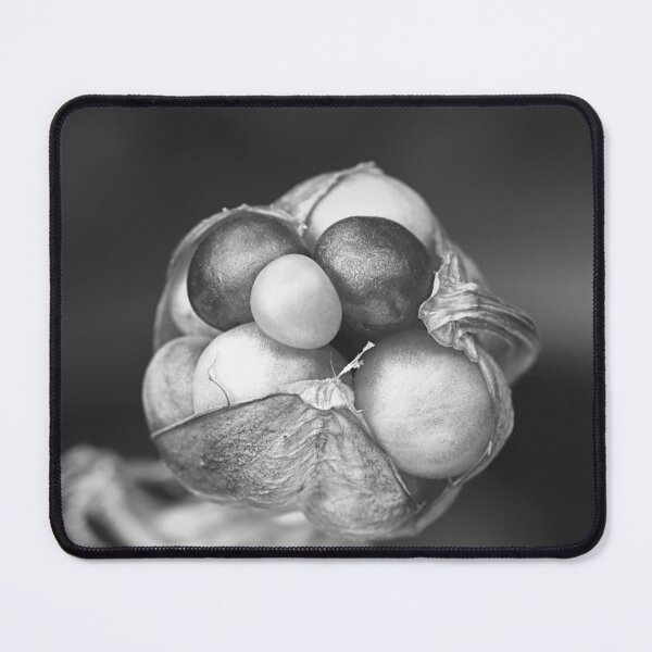 Item preview, Lily Seed Pod Jewels BW designed and sold by Joy Watson - Natural Light Photography .