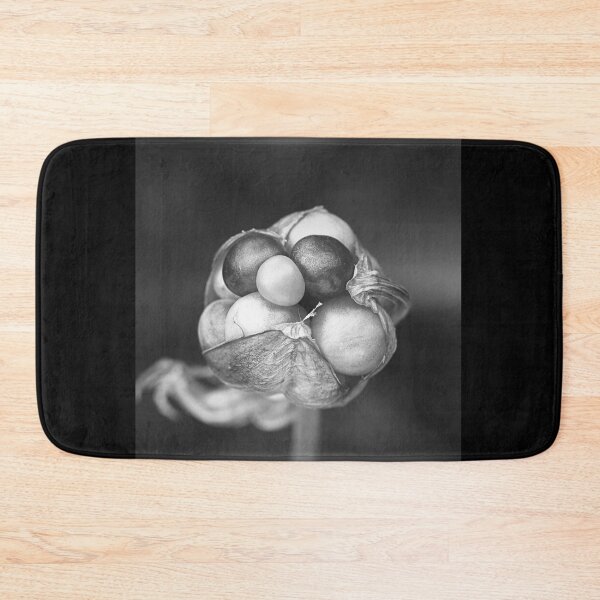 Item preview, Lily Seed Pod Jewels BW designed and sold by Joy Watson - Natural Light Photography .