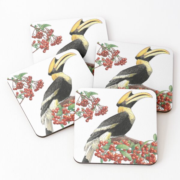 Item preview, Great Indian Hornbill and Firethorn designed and sold by YuNikDraw.