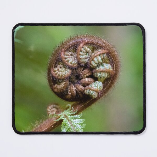 Item preview, Fern 1 (NZ) designed and sold by Jacquiamber.