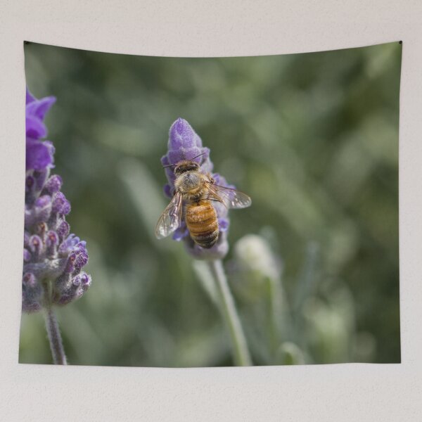 Item preview, Honey Bee 2 designed and sold by Jacquiamber.