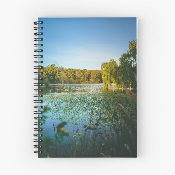 Item preview, Aura Vale Lake Park designed and sold by AdventureUnlockedCo.