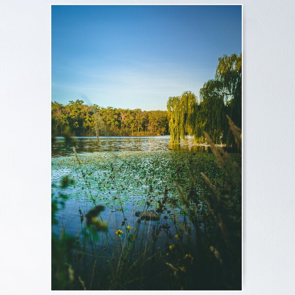 Item preview, Aura Vale Lake Park designed and sold by AdventureUnlockedCo.