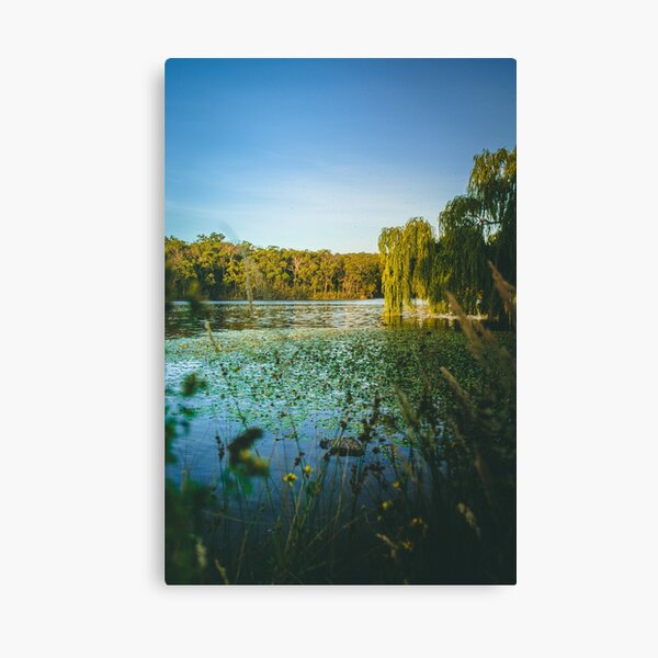 Item preview, Aura Vale Lake Park designed and sold by AdventureUnlockedCo.