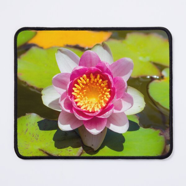 Item preview, Lotus 1 designed and sold by Jacquiamber.