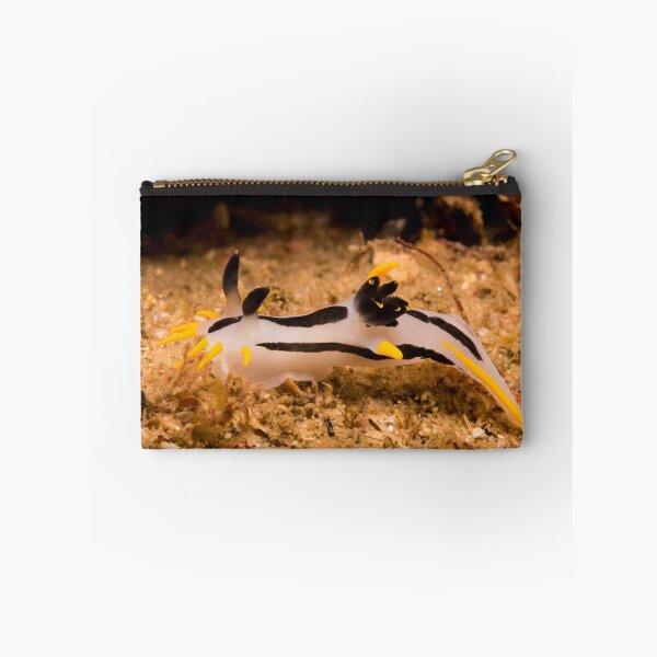 Item preview, Polycera capensis, Australia designed and sold by Erik Schlogl.