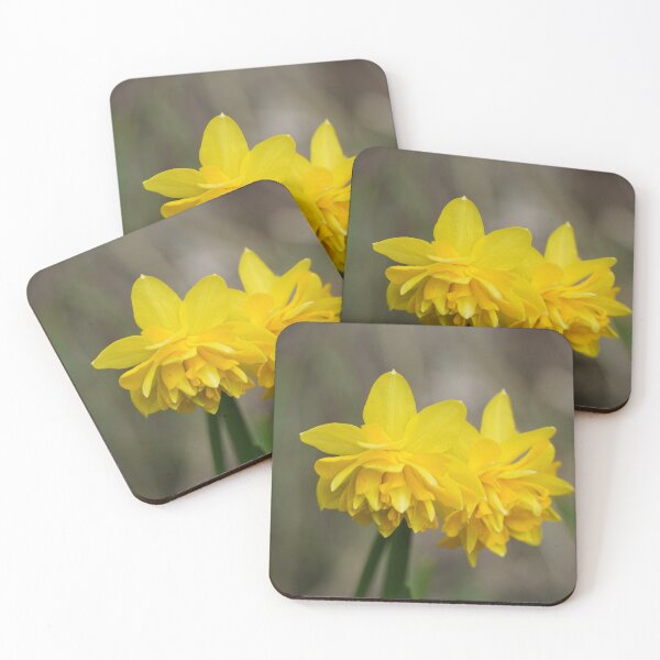 Item preview, Mini daffodils at the beginning of spring designed and sold by Binas-gallery.