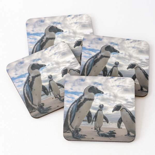 Item preview, Close up of African penguins on Boulders Beach designed and sold by Koolmees.