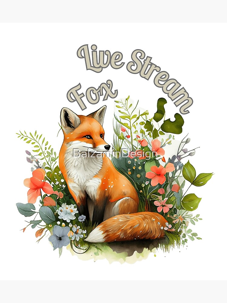 The fox hot sale live stream