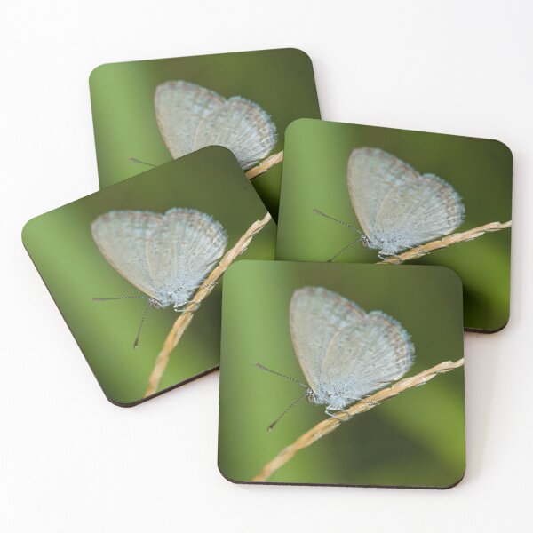Item preview, Butterfly 4 designed and sold by Jacquiamber.