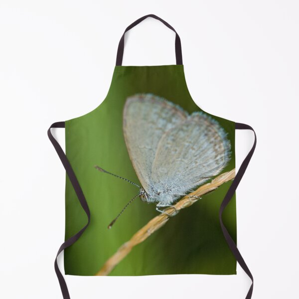 Item preview, Butterfly 4 designed and sold by Jacquiamber.