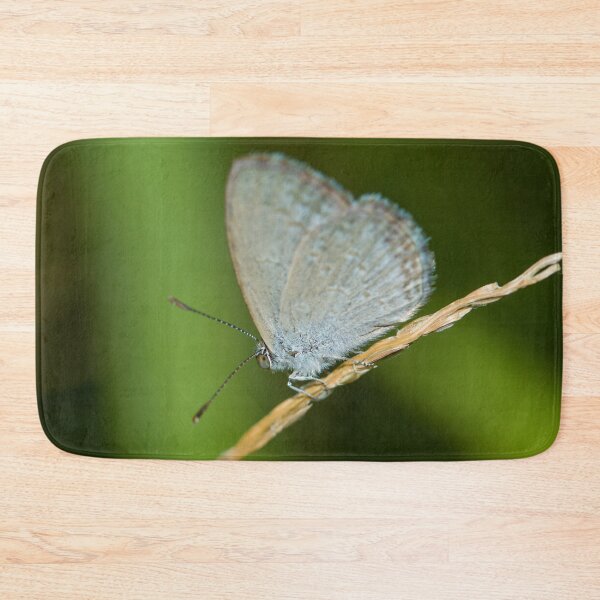 Item preview, Butterfly 4 designed and sold by Jacquiamber.