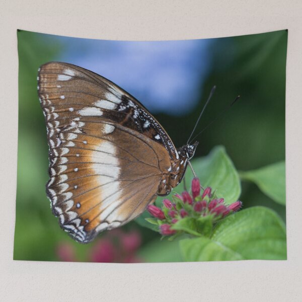 Item preview, Butterfly 5 designed and sold by Jacquiamber.