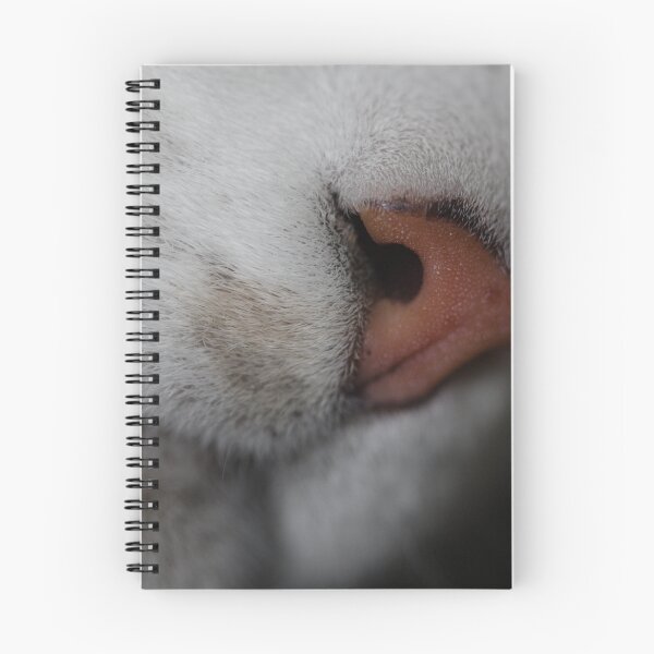 Item preview, Ed’s Nose designed and sold by Jacquiamber.
