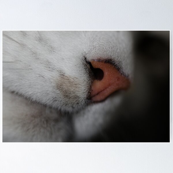 Item preview, Ed’s Nose designed and sold by Jacquiamber.