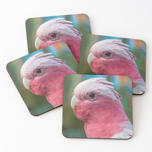 Item preview, Galah designed and sold by Jacquiamber.