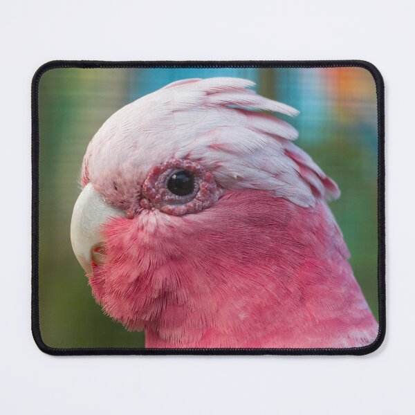 Item preview, Galah designed and sold by Jacquiamber.