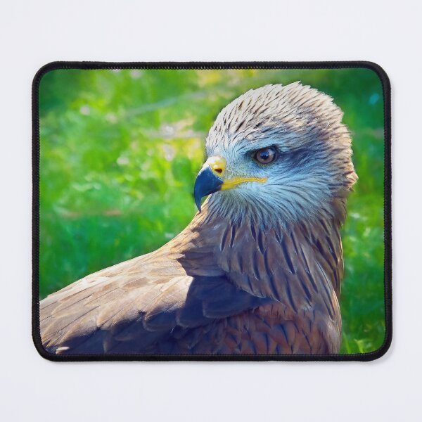 Item preview, The Gaze of a Predator designed and sold by Viv Thompson Photography .