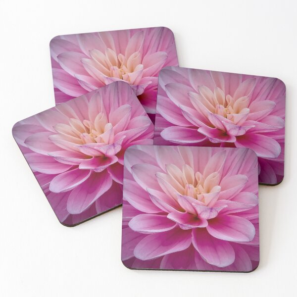 Item preview, New Bloom designed and sold by Viv Thompson Photography .