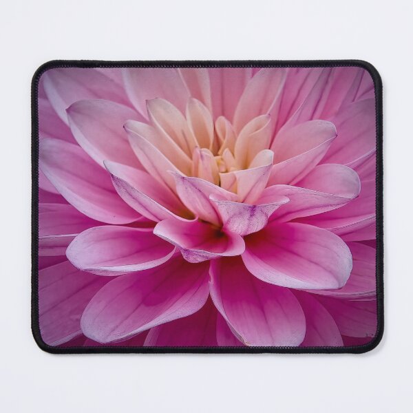 Item preview, New Bloom designed and sold by Viv Thompson Photography .