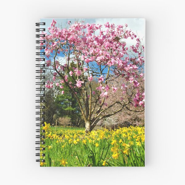 Item preview, Árbol de magnolia Batsford Arboretum Cotswolds UK designed and sold by AndyEvansPhotos.