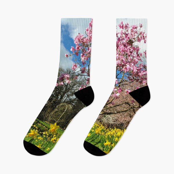 Item preview, Magnolia Tree Batsford Arboretum Cotswolds UK designed and sold by AndyEvansPhotos.
