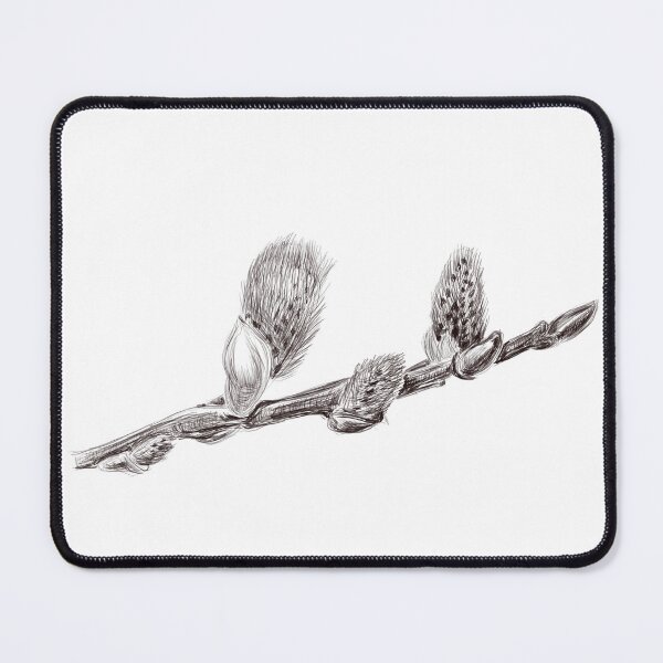 Item preview, Salix catkins designed and sold by Gaillycools.
