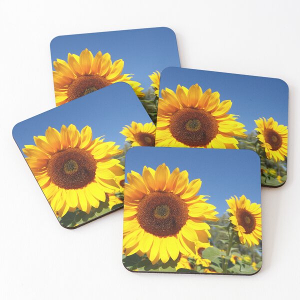 Artikelvorschau, Sonnenblumen , Blume, Blüte, Blauer Himmel, Deutschland entworfen und verkauft von Torsten  Krüger.