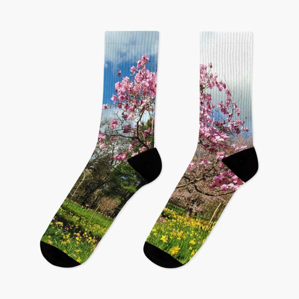 Item preview, Magnolia Tree Batsford Arboretum Cotswolds UK designed and sold by AndyEvansPhotos.