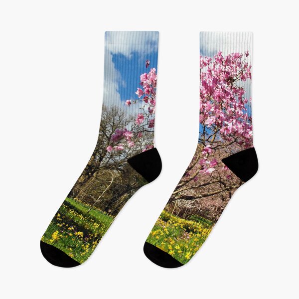 Item preview, Magnolia Tree Batsford Arboretum Cotswolds UK designed and sold by AndyEvansPhotos.
