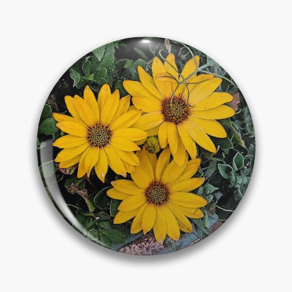 Item preview, Yellow Cape Daisies designed and sold by Kat Simmons.