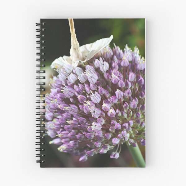 Item preview, Soon To Harvest Garlic designed and sold by Joy Watson - Natural Light Photography .