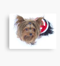Baby Claus Canvas Print