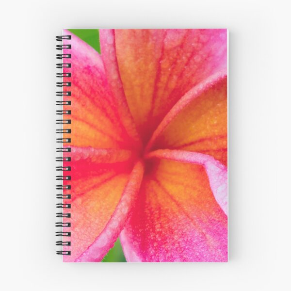 Item preview, Frangipani Macro designed and sold by Keith's Photo Artistry.