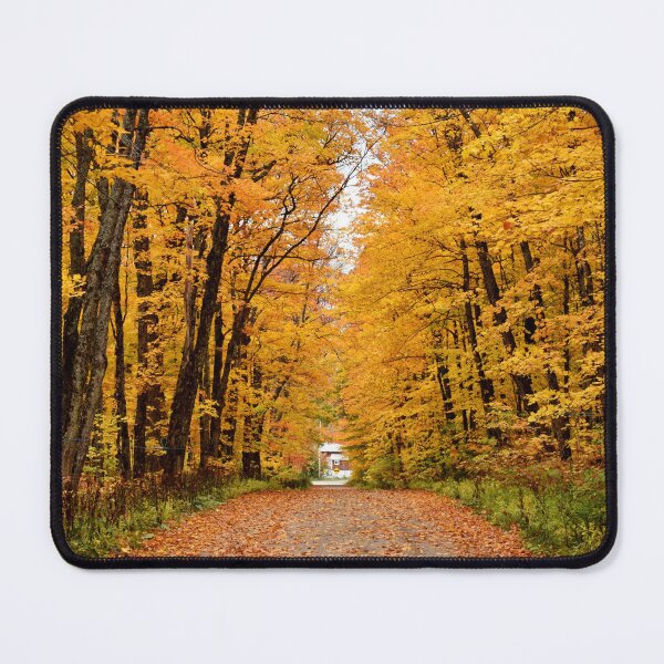 Item preview, A country road in the fall designed and sold by Claude Laprise.