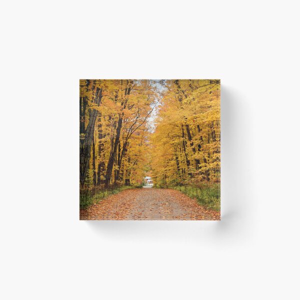 Item preview, A country road in the fall designed and sold by Claude Laprise.