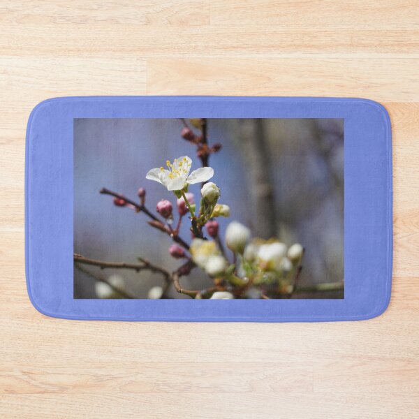 Item preview, Cherry blossoms and plum blossoms in spring with a light blue background designed and sold by Binas-gallery.