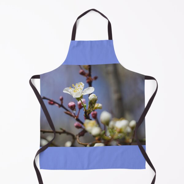 Item preview, Cherry blossoms and plum blossoms in spring with a light blue background designed and sold by Binas-gallery.