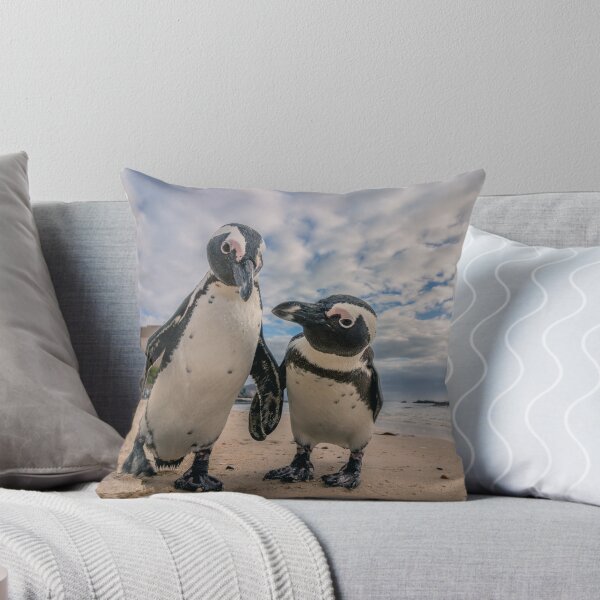 Item preview, Pinguins on Boulders Beach designed and sold by Koolmees.