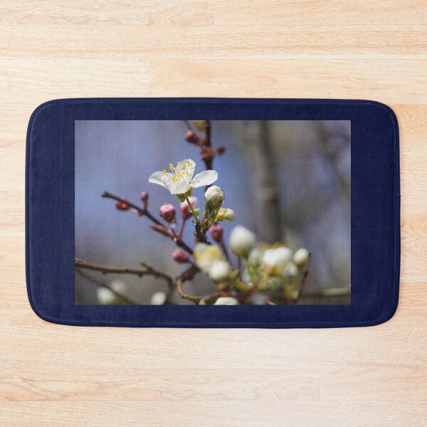 Item preview, Cherry blossoms and plum blossoms in spring with a dark blue background designed and sold by Binas-gallery.